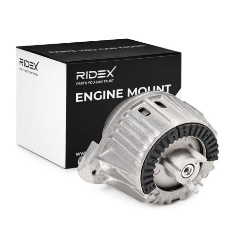 Ridex 247E0118 Engine Mount, photo 2