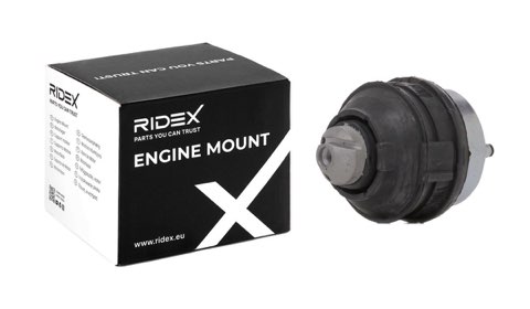 Ridex 247E0123 Engine Mount, photo 2