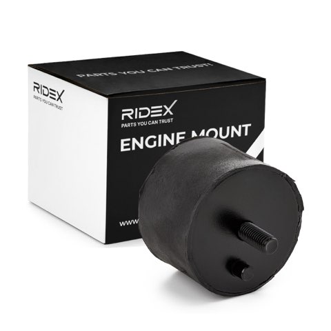 Ridex 247E0141 Engine Mount, photo 2