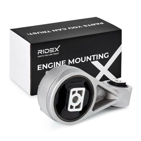 Ridex 247E0147 Engine Mount, photo 2