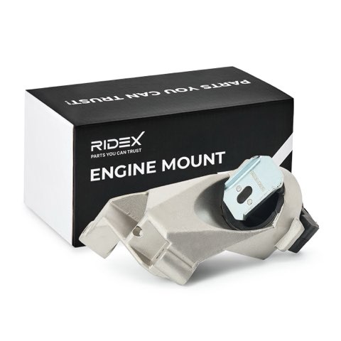 Ridex 247E0148 Engine Mount, photo 2