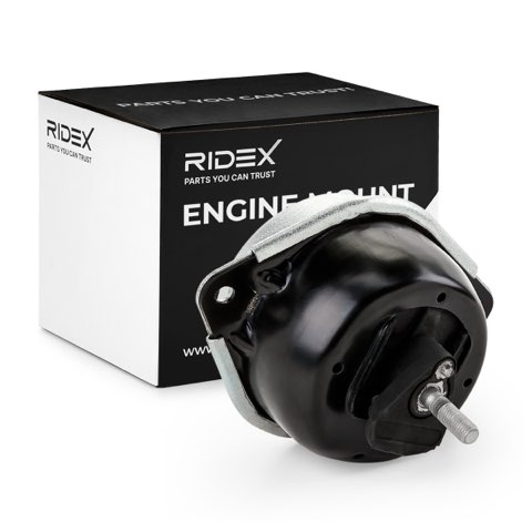 Ridex 247E0151 Engine Mount, photo 2
