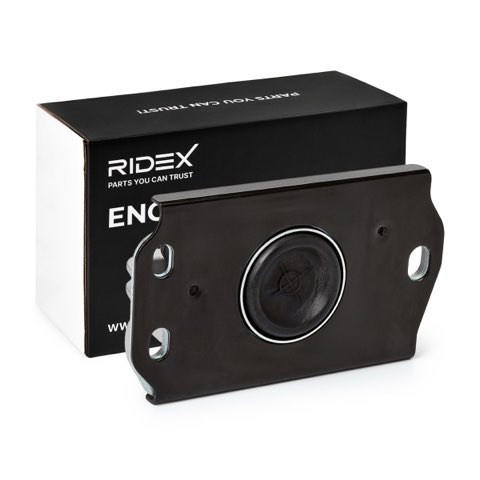 Ridex 247E0152 Engine Mount, photo 2