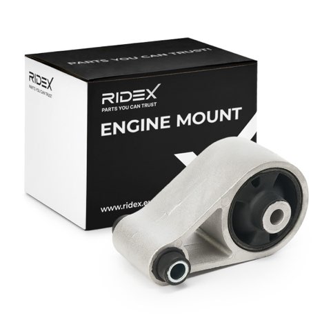 Ridex 247E0163 Engine Mount, photo 2