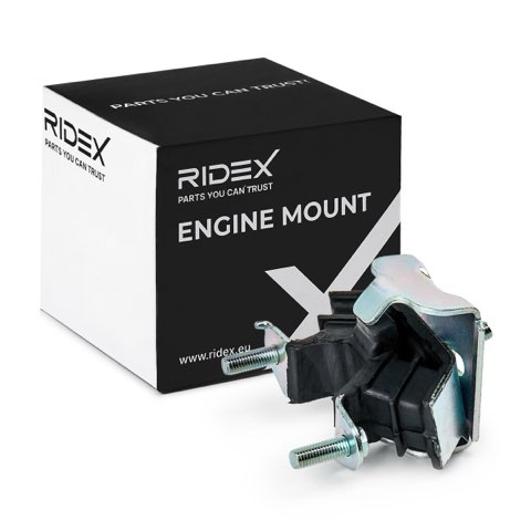 Ridex 247E0165 Engine Mount, photo 2
