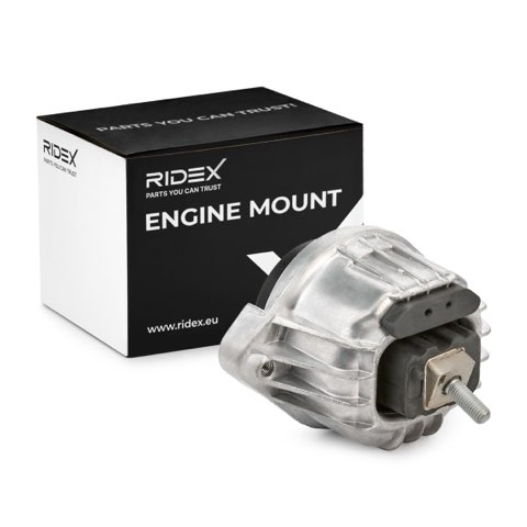 Ridex 247E0168 Engine Mount, photo 2