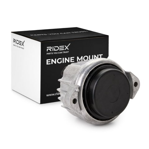 Ridex 247E0169 Engine Mount, photo 2