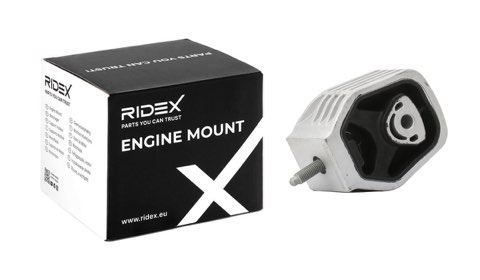 Ridex 247E0175 Engine Mount, photo 2