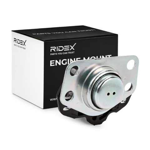 Ridex 247E0179 Engine Mount, photo 2