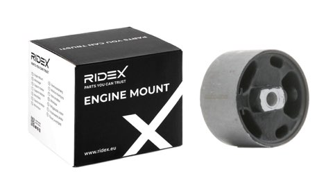 Ridex 247E0183 Engine Mount, photo 2
