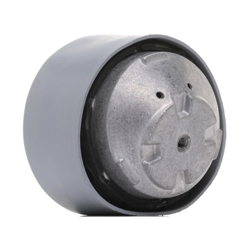 Ridex 247E0210 Engine Mount