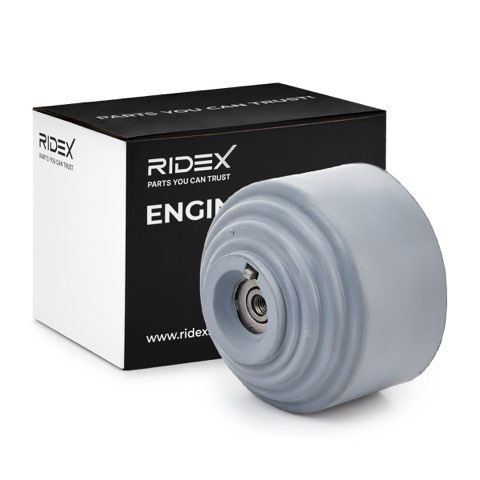 Ridex 247E0210 Engine Mount, photo 2
