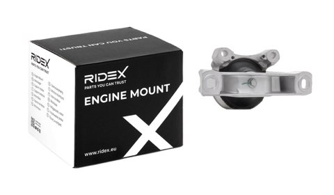 Ridex 247E0216 Engine Mount, photo 2