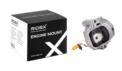 Ridex 247E0231 Engine Mount, photo 2