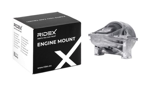 Ridex 247E0253 Engine Mount, photo 2