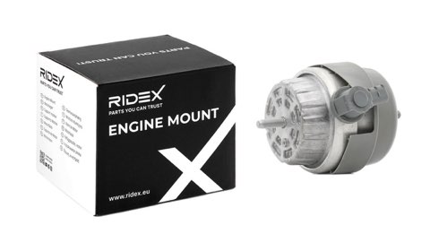 Ridex 247E0270 Engine Mount, photo 2