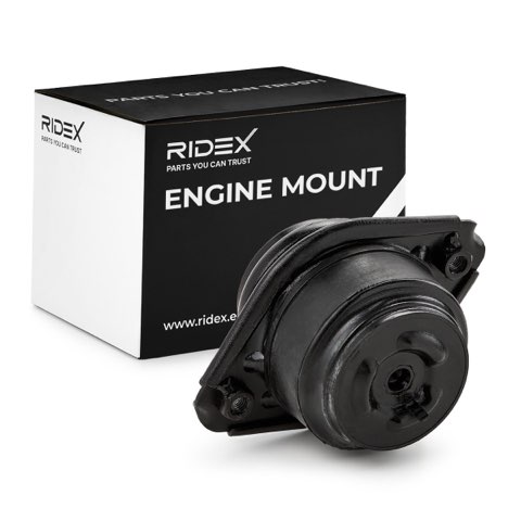 Ridex 247E0286 Engine Mount, photo 2