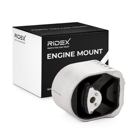 Ridex 247E0293 Engine Mount, photo 2