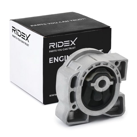 Ridex 247E0298 Engine Mount, photo 2