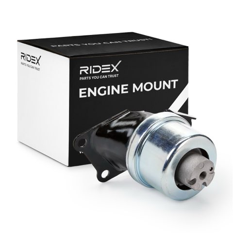Ridex 247E0329 Engine Mount, photo 2
