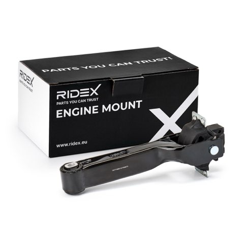 Ridex 247E0349 Engine Mount, photo 2