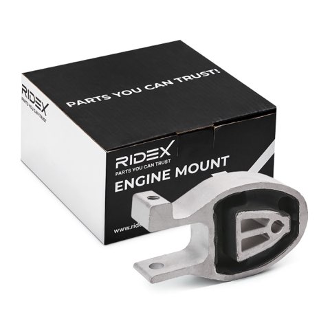 Ridex 247E0354 Engine Mount, photo 2