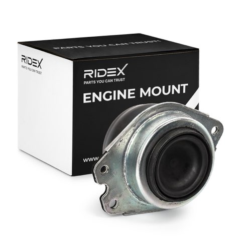 Ridex 247E0361 Engine Mount, photo 2
