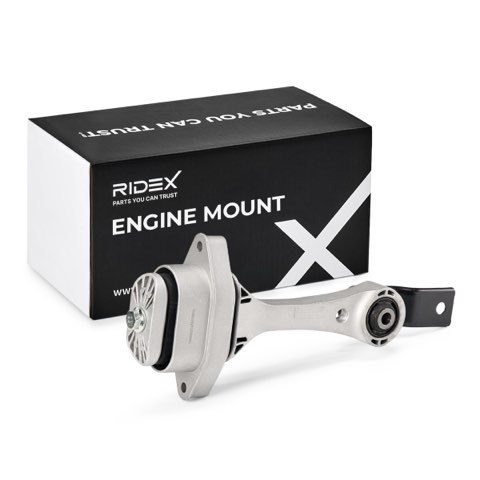 Ridex 247E0382 Engine Mount, photo 2