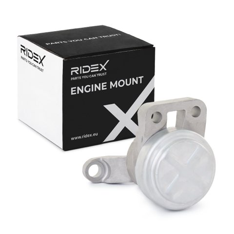 Ridex 247E0387 Engine Mount, photo 2