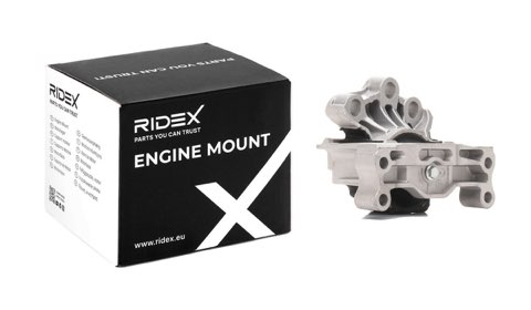 Ridex 247E0421 Engine Mount, photo 2