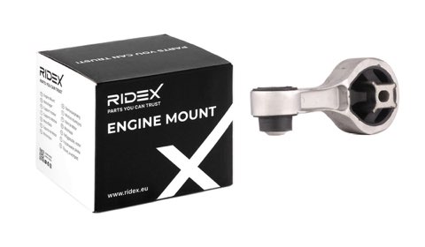 Ridex 247E0425 Engine Mount, photo 2
