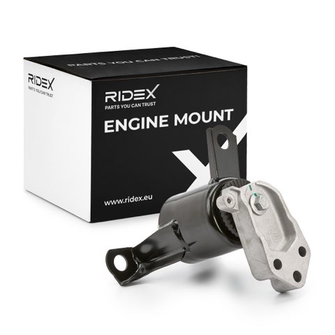 Ridex 247E0438 Engine Mount, photo 2