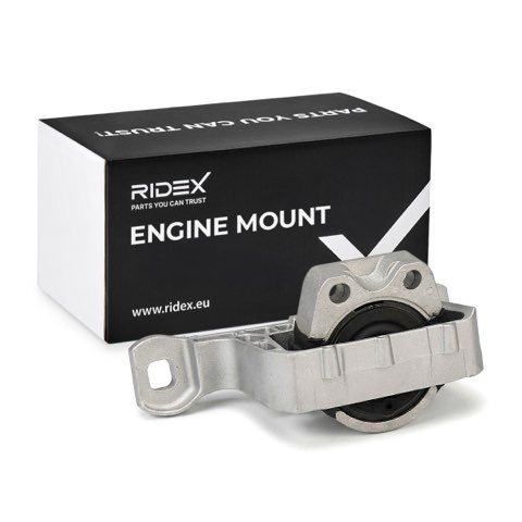 Ridex 247E0448 Engine Mount, photo 2