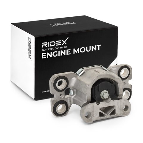Ridex 247E0456 Engine Mount, photo 2