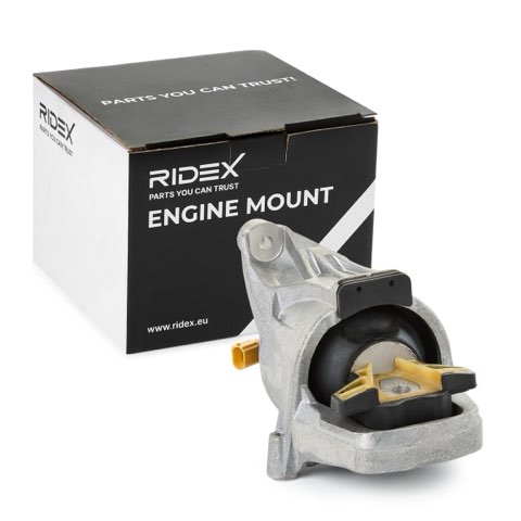 Ridex 247E0493 Engine Mount, photo 2