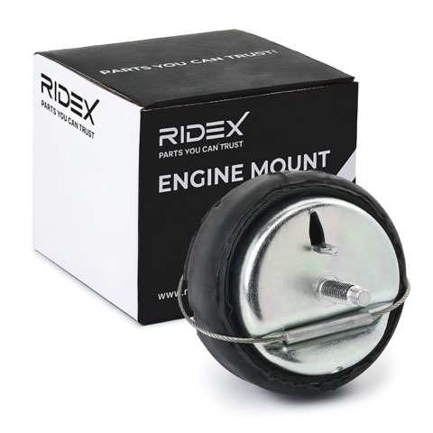 Ridex 247E0513 Engine Mount, photo 2