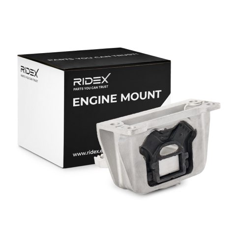 Ridex 247E0537 Engine Mount, photo 2