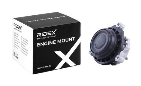 Ridex 247E0542 Engine Mount, photo 2
