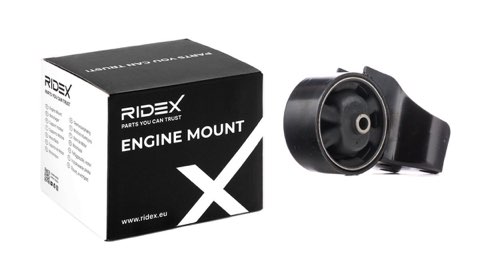 Ridex 247E0554 Engine Mount, photo 2