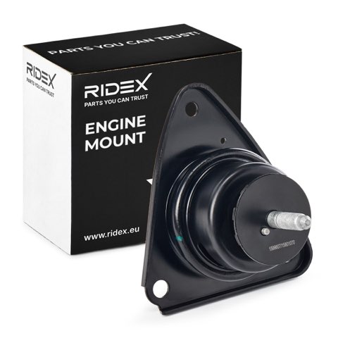 Ridex 247E0569 Engine Mount, photo 2