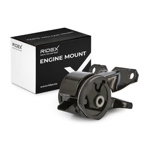 Ridex 247E0579 Engine Mount