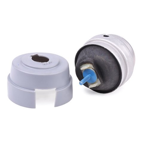 Ridex 247E0588 Engine Mount, photo 3