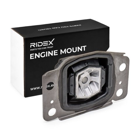 Ridex 247E0598 Engine Mount, photo 2