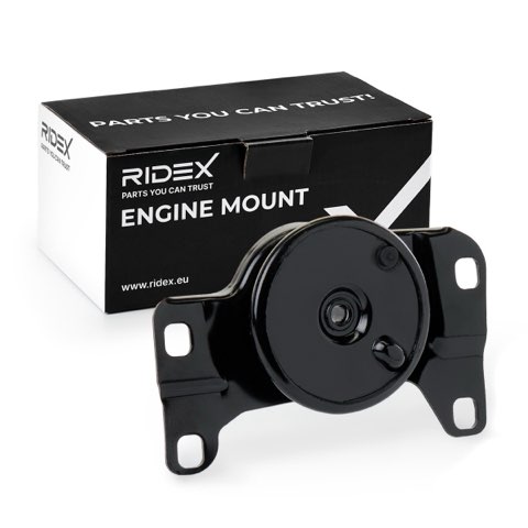 Ridex 247E0601 Engine Mount, photo 2