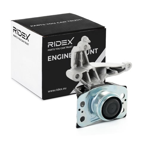 Ridex 247E0619 Engine Mount, photo 2