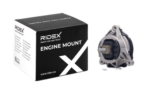 Ridex 247E0668 Engine Mount, photo 2