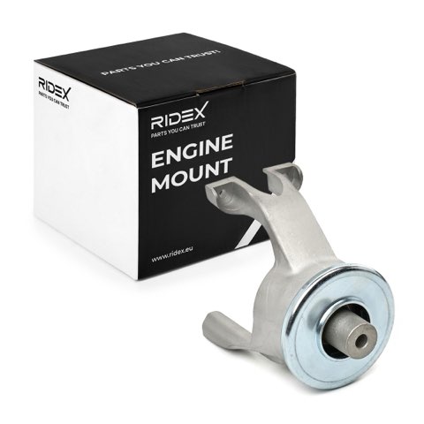 Ridex 247E0669 Engine Mount