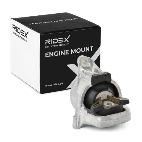 Ridex 247E0670 Engine Mount, photo 2