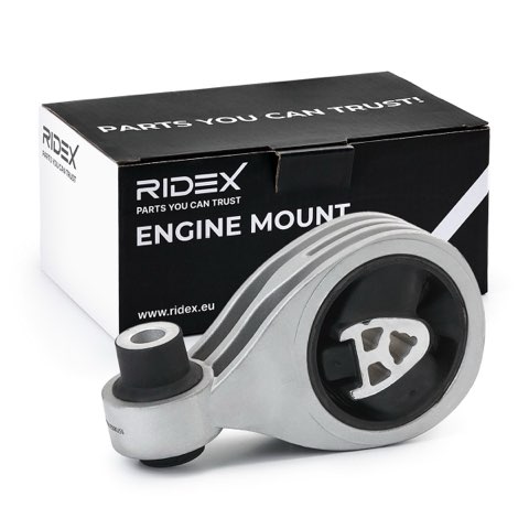 Ridex 247E0708 Engine Mount, photo 2