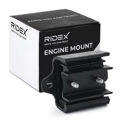 Ridex 247E0718 Engine Mount, photo 2